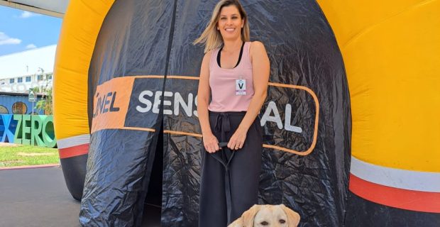 ação pet society