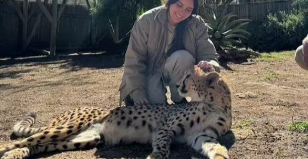 Com voluntariado na África veterinária transforma carreira