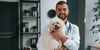 Veterinário de jaleco segurando um maltês