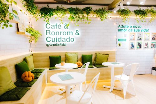 Com estande “Cat Café”, Vetnil participa do Cat Congress 2025 e promove palestras científicas