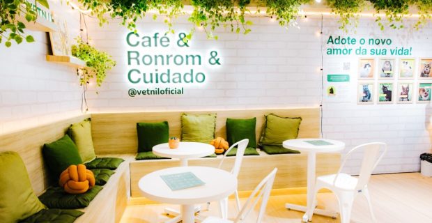 Com estande “Cat Café”, Vetnil participa do Cat Congress 2025 e promove palestras científicas