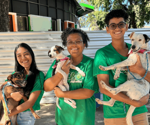 A importância do voluntariado em abrigos de animais: um relato de experiência