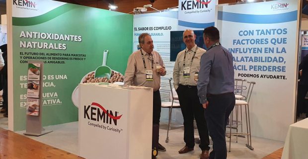 Kemin
