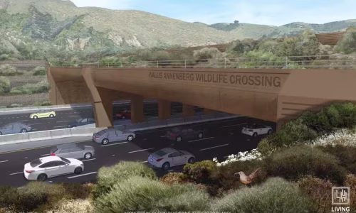 Em breve Califórnia terá a maior ponte do mundo dedicada à travessia segura de animais