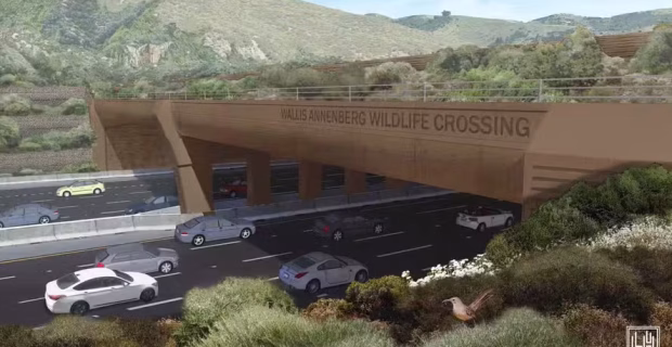 Em breve Califórnia terá a maior ponte do mundo dedicada à travessia segura de animais