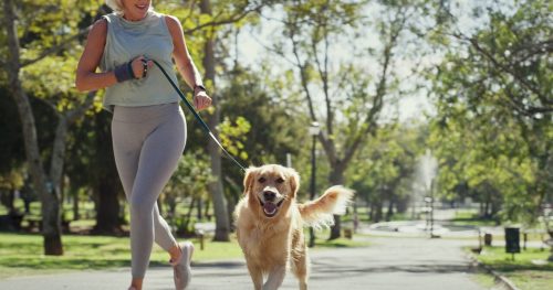 Treino com pets no Ibirapuera: ação conecta nutrição e performance canina