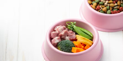 alimentação natural