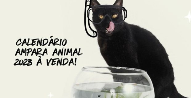 calendário