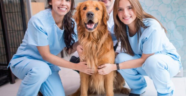 auxiliar-veterinaria-formacao