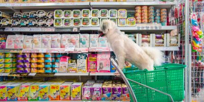 Distribuidores impulsionam crescimento do mercado veterinário e fortalecem setor pet no Brasil