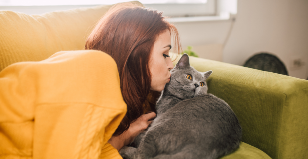 LiveClear Nestlé Purina