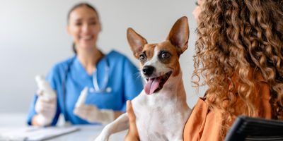 Iodo radioativo mostra eficácia contra câncer de tireoide em cães, aponta estudo