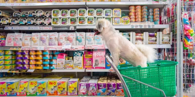 Saturação do mercado torna o cenário mais competitivo (Foto: Reprodução)