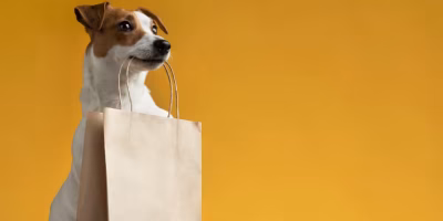 Delivery pet ganha espaço e transforma o consumo no setor animal