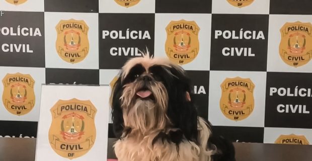 cachorrodelegacia