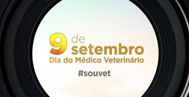 campanha