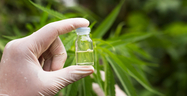 cannabis