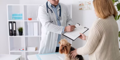 Calcinose cutânea: como reconhecer, diagnosticar e manejar os casos na rotina clínica