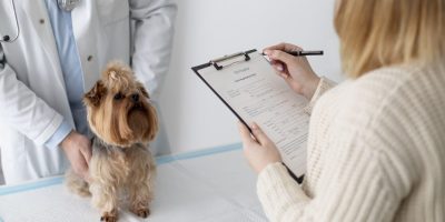 Avaliação pré-anestésica: quais os exames mais importantes?