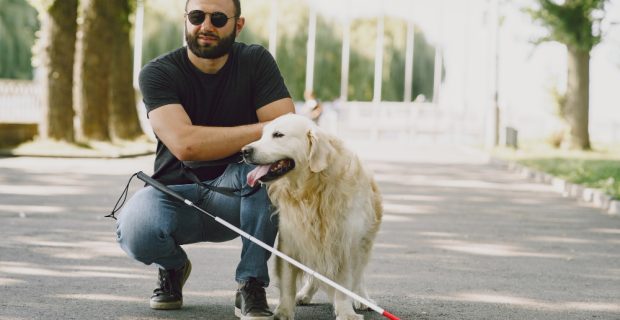 cao-guia-ajudando-cegos-na-cidade-bonitao-cego-descanse-com-o-golden-retriever-na-cidade