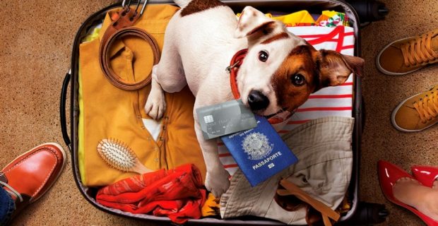 cao_passaporte
