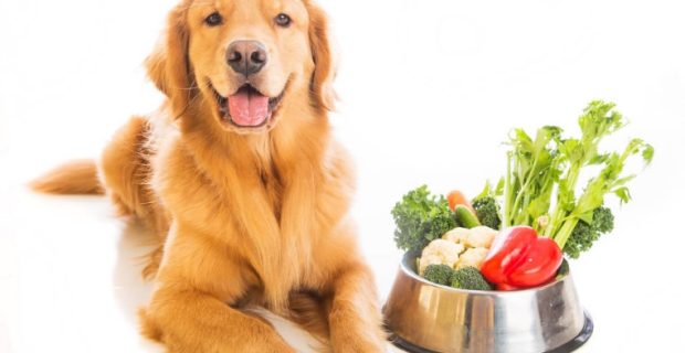 caovegan