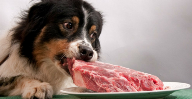 carne