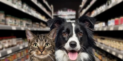 Mercado pet food na América Latina pode ser até quatro vezes maior do que estimativas indicam