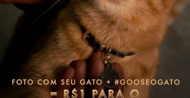 cat1-1551385375
