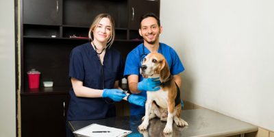 Dia Mundial da Medicina Veterinária: muito além do cuidado com animais