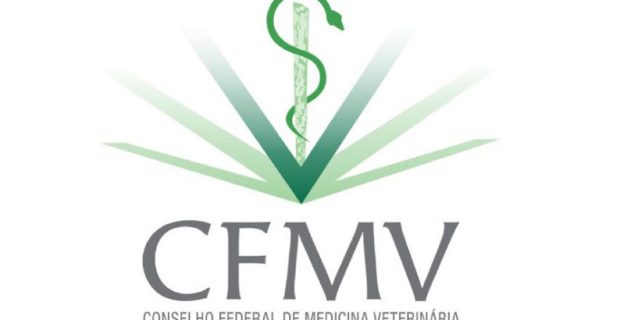 cfmv-1545225338