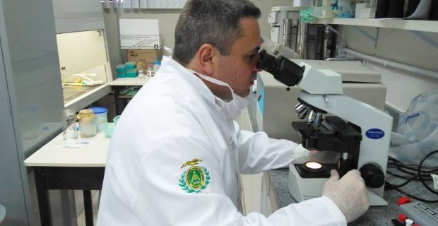 chagas_estudo
