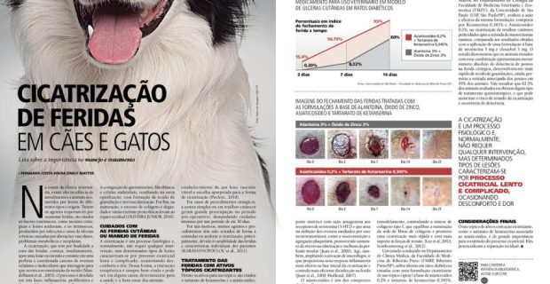 cicatriz