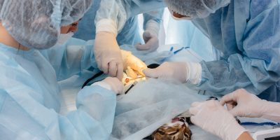 Hipotensão no perioperatório: desafios e avanços na anestesiologia veterinária