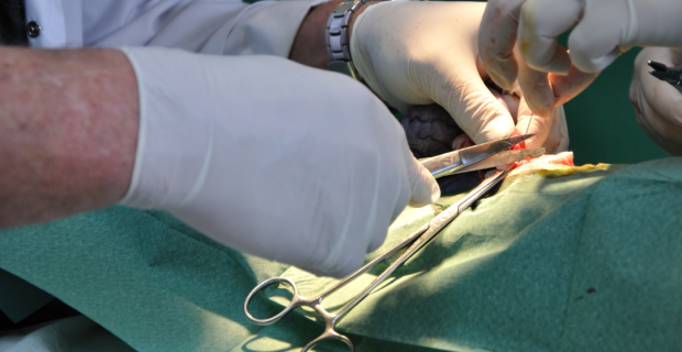 cirurgia