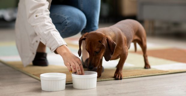 petfood