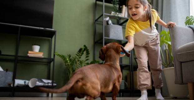 cão e criança