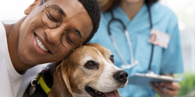 O que leva os responsáveis a buscar atendimento veterinário para cães?