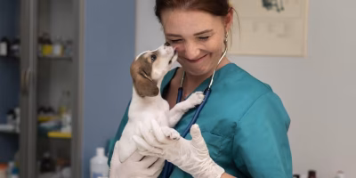 Será que a carreira de médico-veterinário é ideal para mim?