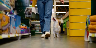 Consumidor mais ativo redefine o padrão de consumo no mercado pet