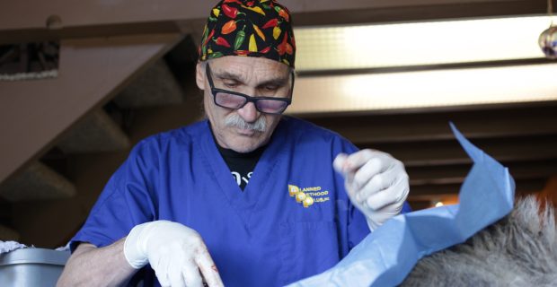 Veterinário das Montanhas