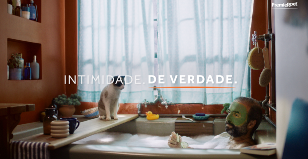 campanha