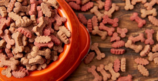 selective focus of plastic bowl with pile of dog food on wooden table