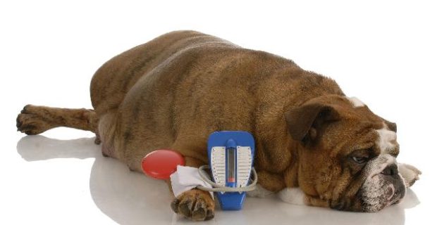 diabete