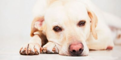 Quando o câncer atinge a pele