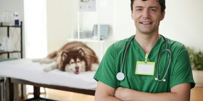 Doctor of Veterinary Clinic