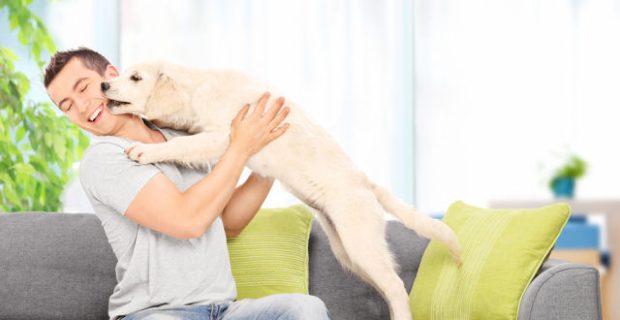 Young man playing with a puppy seated on couch at home