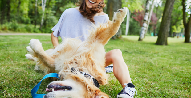 melhorar expectativa de vida dos pets