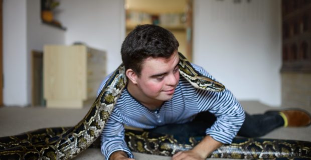 Down syndrome adult man sitting indoors in bedroom at home, playing with pet snake.