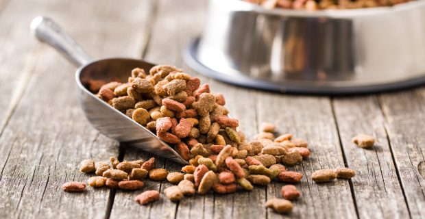 Dry pet food.